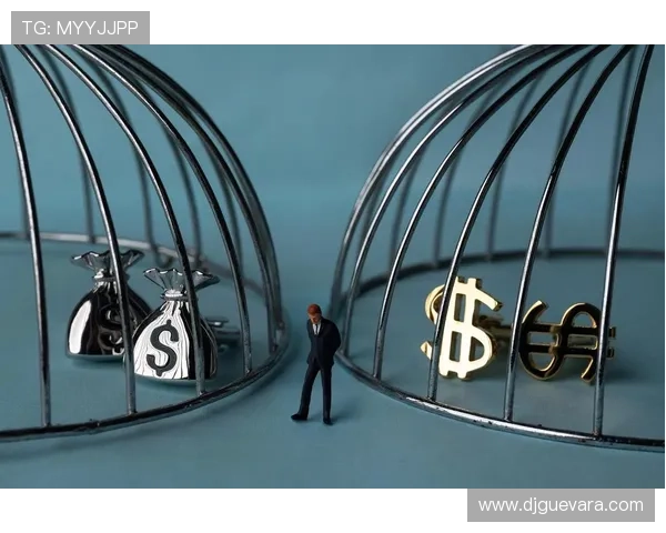 在ag利来平台进行高风险投资的注意事项及风险控制策略